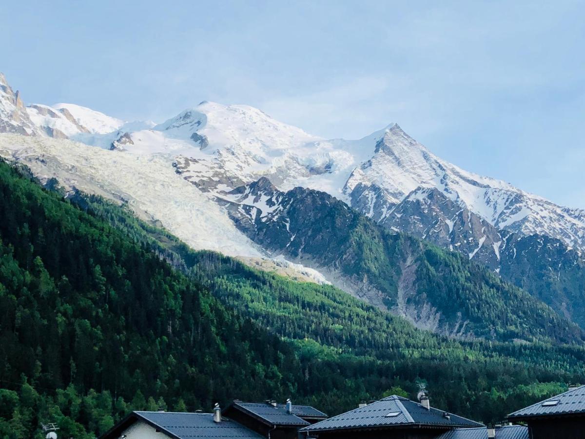 Mont Blanc 43, Vue Mont Blanc , Balcon, Parking Apartment Chamonix Luaran gambar