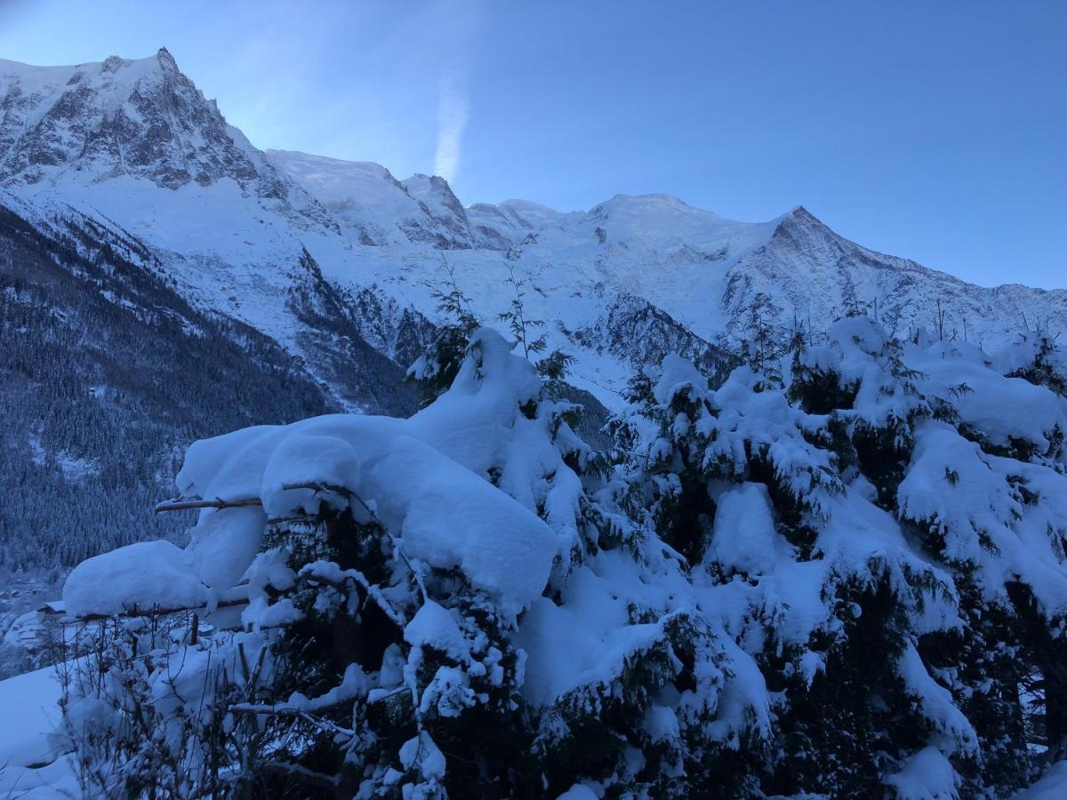 Mont Blanc 43, Vue Mont Blanc , Balcon, Parking Apartment Chamonix Luaran gambar